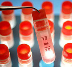 Breeding sperm in the laboratory