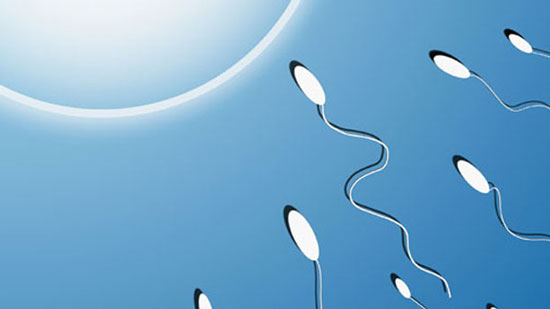 'Breeding' with artificial sperm