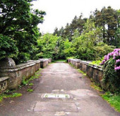 Bridge suicide of dogs in Scotland