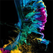 Brilliant moments interfere between science and painting