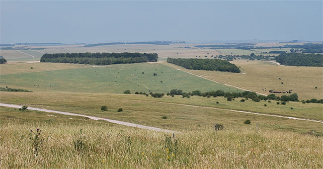 British scientists try to revive the pasture land