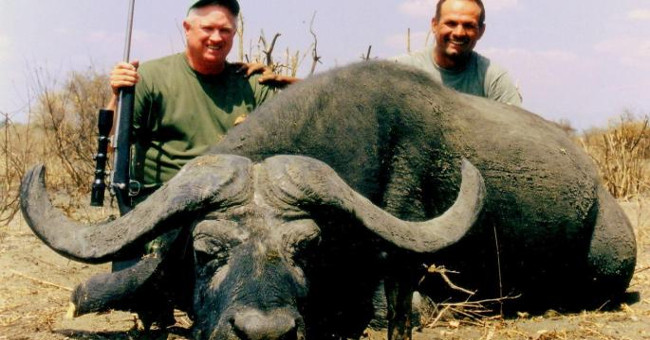 Buffalo buffalo hunters die to revenge for their fellow humans