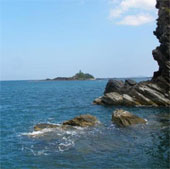 Build 120 houses for aquatic species in coastal areas