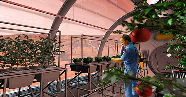 Build a 'green oasis' to plant trees on Mars, why not?