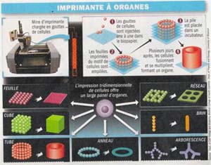 Build human parts with ... printers!