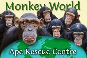 Build monkey rescue center in Cat Tien National Park