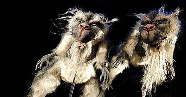Bunyip - The extinct monster in Australia