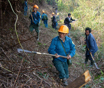 Burning about 100 hectares of forest in Hoang Lien National Park