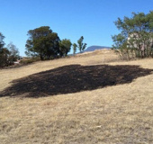 Burning grasslands by
