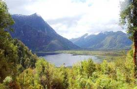 Buy land to save the planet