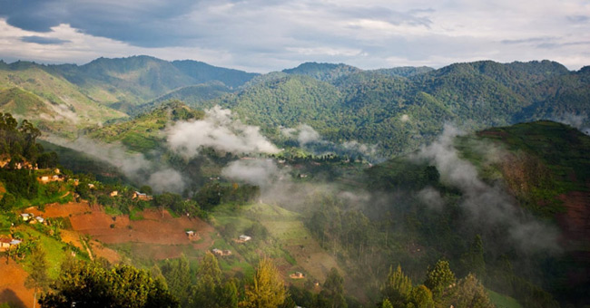 Bwindi National Park is banned