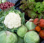 Cabbage, cauliflower can be radioactive