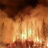 California declared a state of emergency due to wildfires