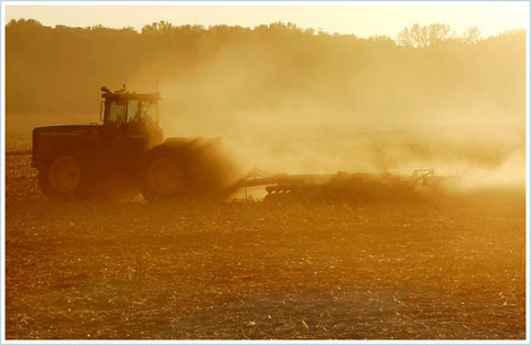 California: Drowning in a drought