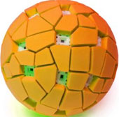 Camera balls allow you to take 360-degree photos