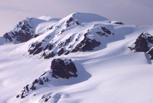 Can a flu virus survive in a cold country?