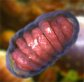 Can accurately predict human life expectancy