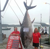 Can catch tuna 'super terrible' weighs 411.6kg