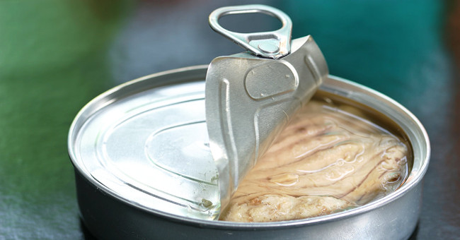 Can fish or fresh fish be better?