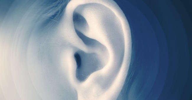 Can humans look at sounds like bats?