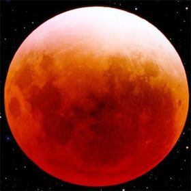 Can observe the half-dark eclipse of the morning of October 19