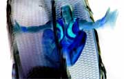 Can people wake up after 100 years of freezing?