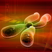Can predict the possibility of colds