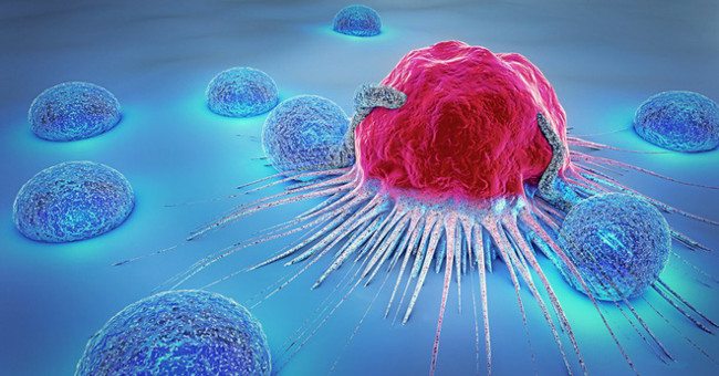 Can we kill cancer cells when they're sleeping?