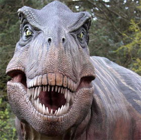 Can you survive a T-Rex by standing still?
