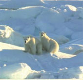 Canada claims sovereignty in the far north