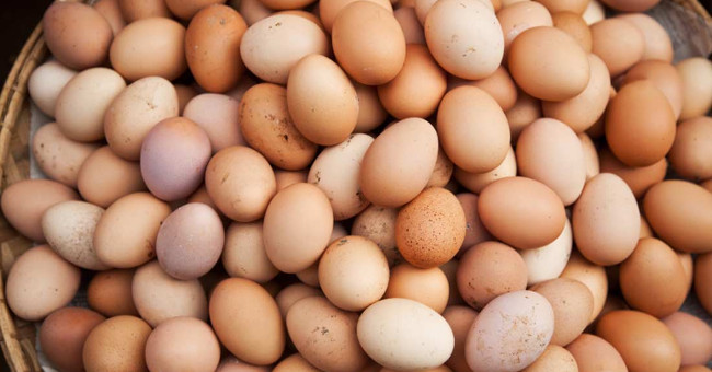Canada found the technology to detect the sex eggs before incubation