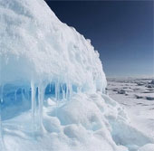 Canada started drawing seabed maps around the North Pole