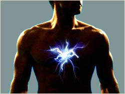 Canada: The first sketch of metabolism in the human body