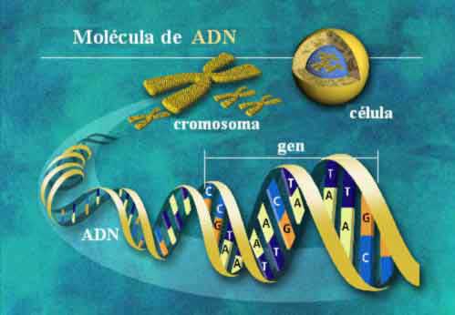 Canada's new DNA testing method