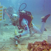 Canadian astronaut tested 1 week of living underwater