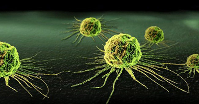 Cancer can be transferred from people?