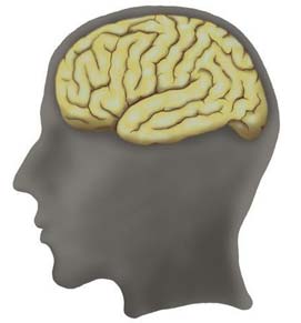 Cancer drugs can increase memory