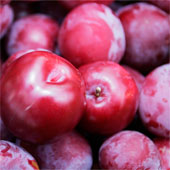 Cao Bang restores many specialty fruit varieties