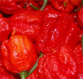 Carolina Reaper peppers are more spicy than pepper spray