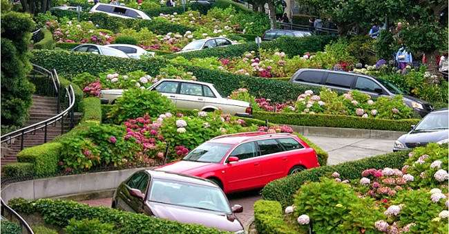 Cars crawling on the world's most winding street