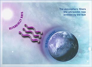 Caspace-14 protects skin against UVB rays and dehydration