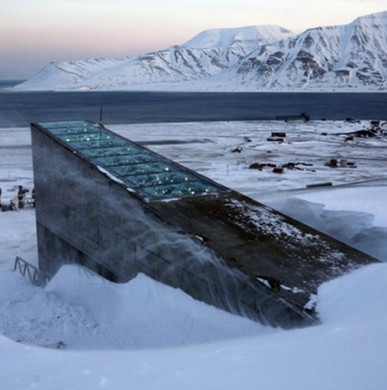 Casserole seed pit under the Arctic ice