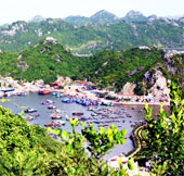 Cat Ba biosphere reserve area is