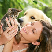 Cat breeders are smarter than dogs?