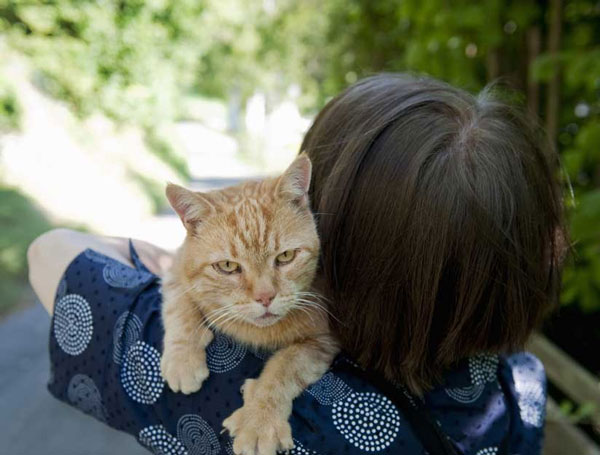 Cat breeding reduces the risk of cancer