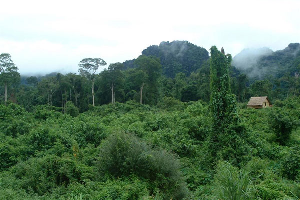 Cat Tien has the opportunity to be a world natural heritage