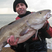 Catch the cod weighing 13.5 kg