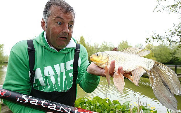 Catch the fish '3 in 1' strange