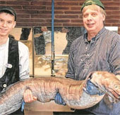 Catch the hundred-year-old marine eel