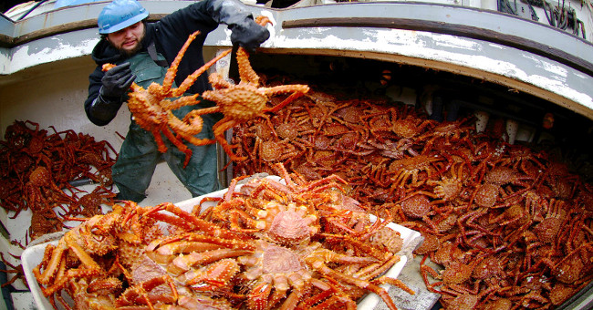 Catching the king's crabs was dangerous, filming the catch movie was even more dangerous!